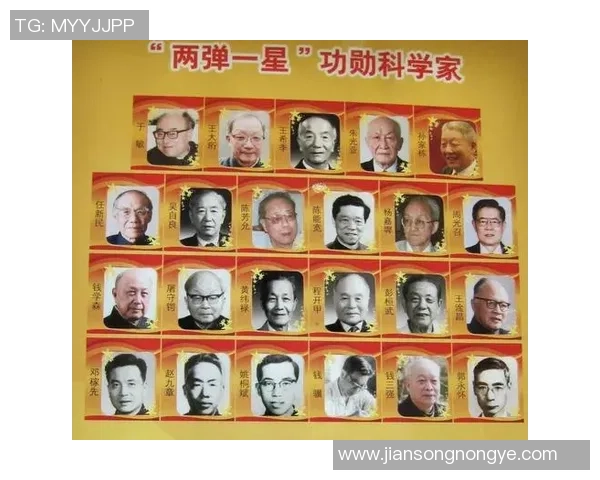 张秀英的排球人生深度对话探索她的奋斗与梦想之路