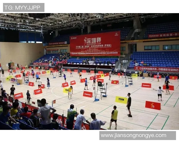 深圳羽毛球队转型升级之路探索与展望